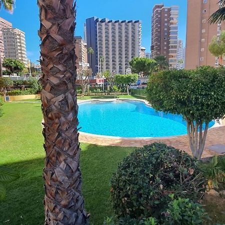 Adelfas - Fincas Arena Benidorm Eksteriør bilde